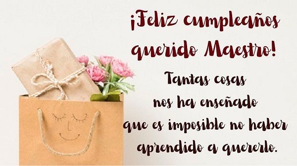 Profesora Especial