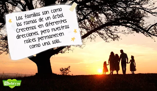 Para la Familia
